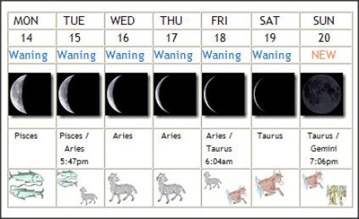 phasesmay14-20homeandgarden