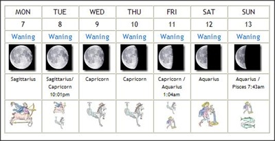 phasesmay7-13planting